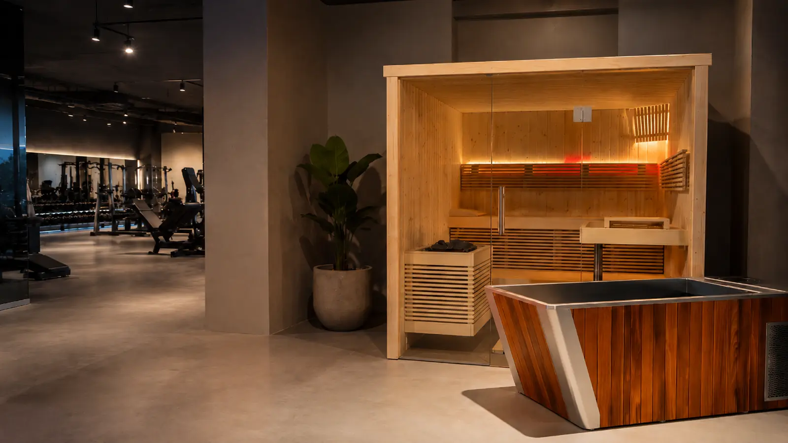 Zona recovery de un gimnasio con sauna y bañera de hielo
